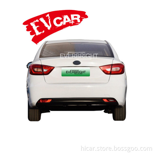 New Energy Type   Battery Electric Cars gasoline auto petrol automobile  oil   fuel vehicles 2022